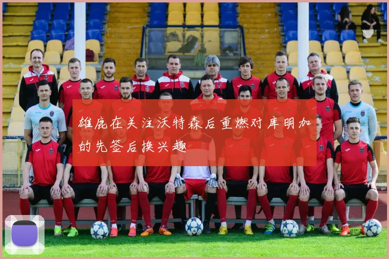 雄鹿在关注沃特森后重燃对库明加的先签后换兴趣