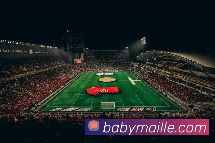 华体会官网登录入口APP 封面图